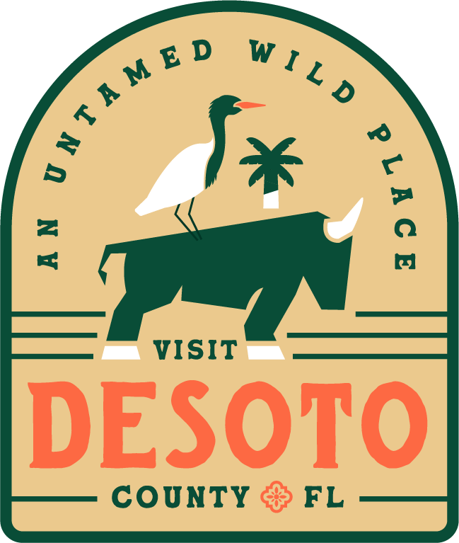 Discover DeSoto Logo